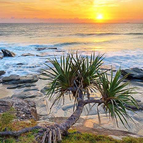 Sunshine Coast Accommodation Mooloolaba