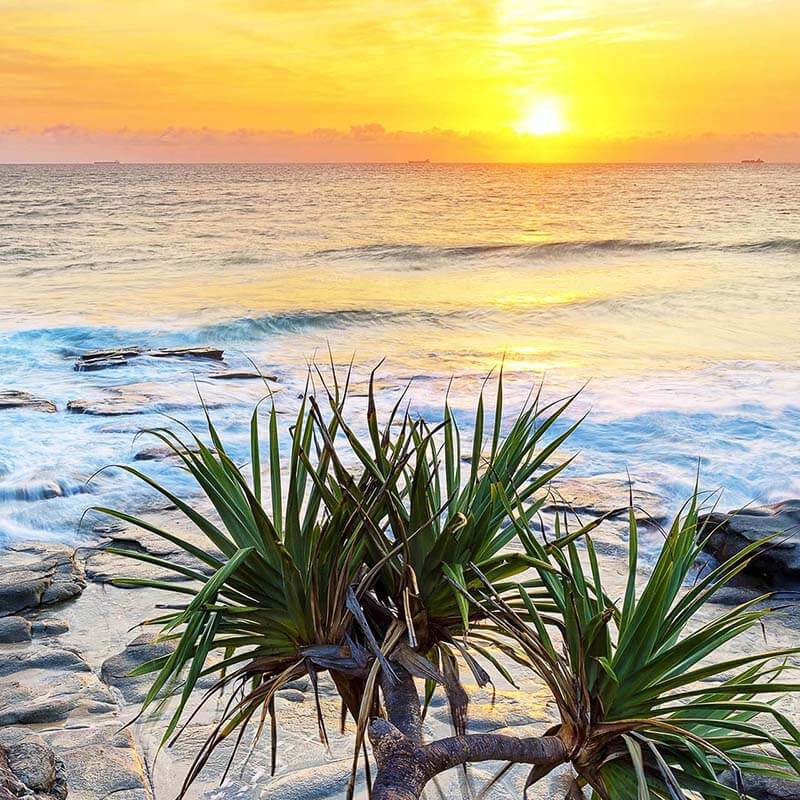 Sunshine Coast Accommodation Mooloolaba